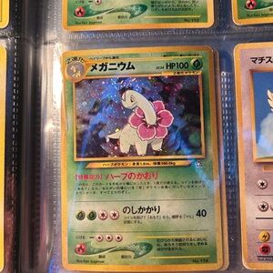 Pokemon Card with Green and Pink Meganium